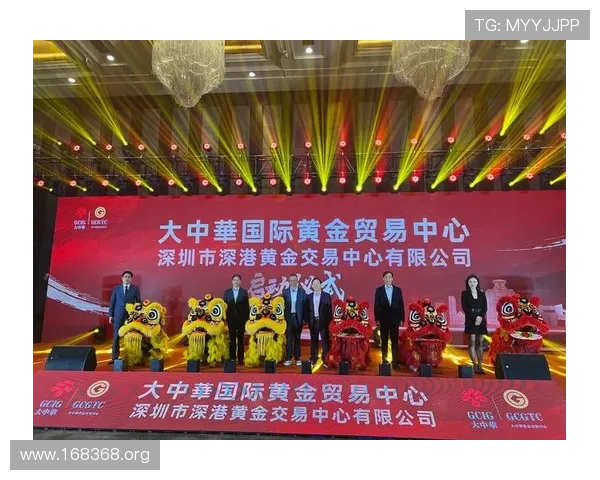 大中华国际集团深圳有限公司企业简介与发展战略